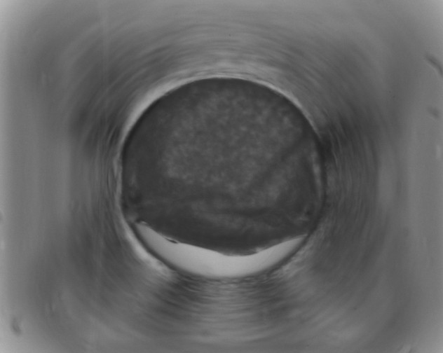 X0000097511515200803142030