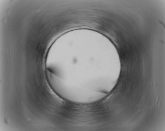 X0000097511516200803142030