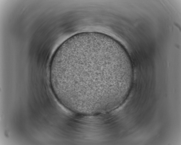 X0000097511517200803142030