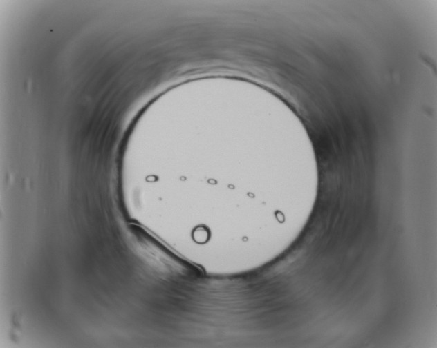 X0000097511518200803142030