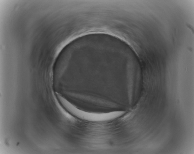 X0000097511519200803142030