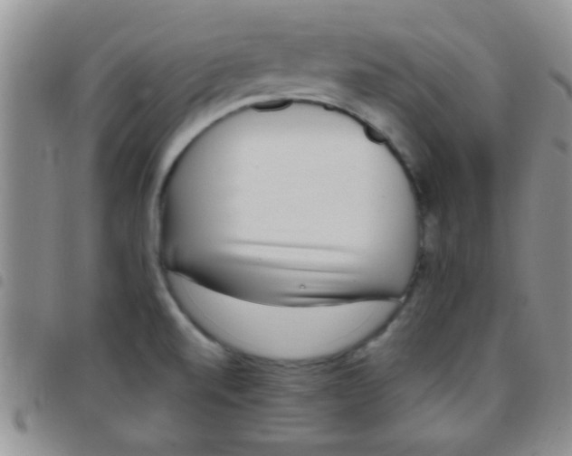 X0000097511520200803142030