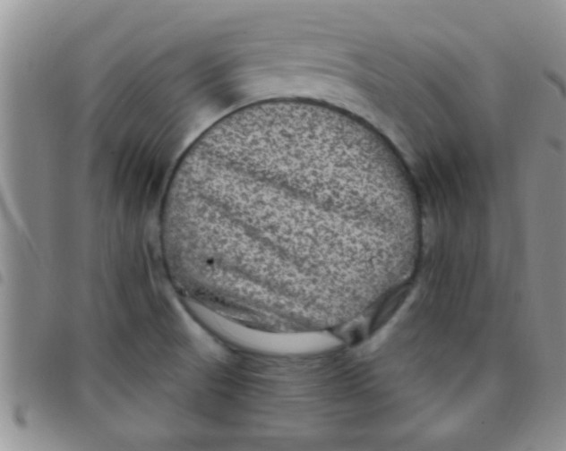 X0000097511521200803142030