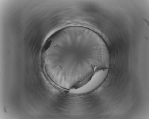 X0000097511522200803142030