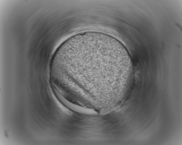 X0000097511523200803142030