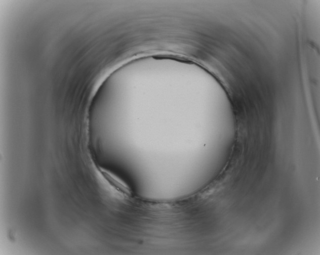 X0000097511524200803142030