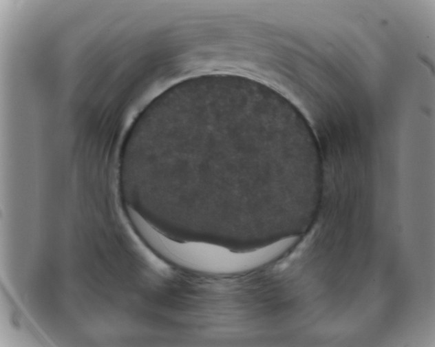 X0000097511525200803142030