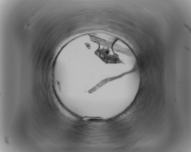 X0000097511526200803142030