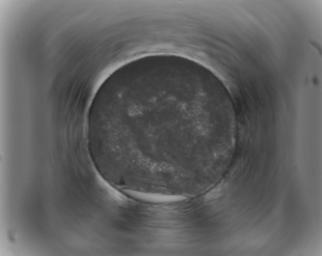 X0000097511527200803142030