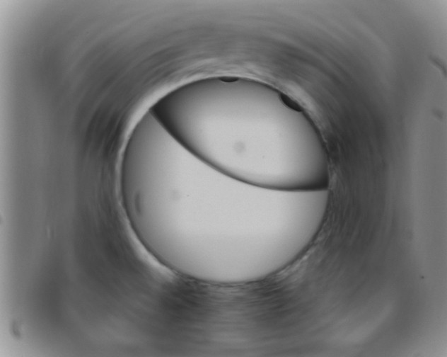 X0000097511528200803142030