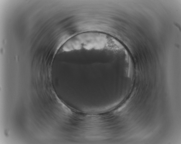 X0000097511529200803142030