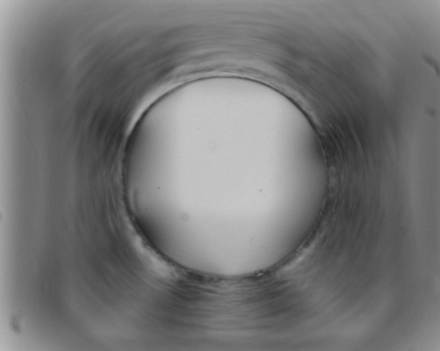 X0000097511530200803142030