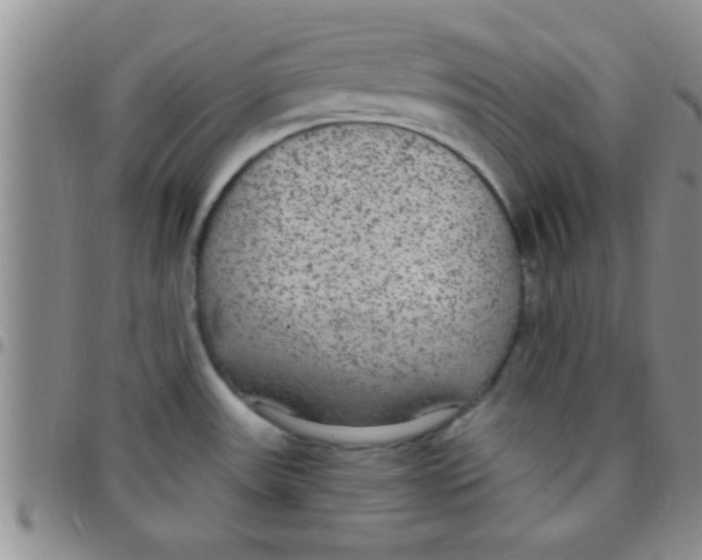 X0000097511531200803142030