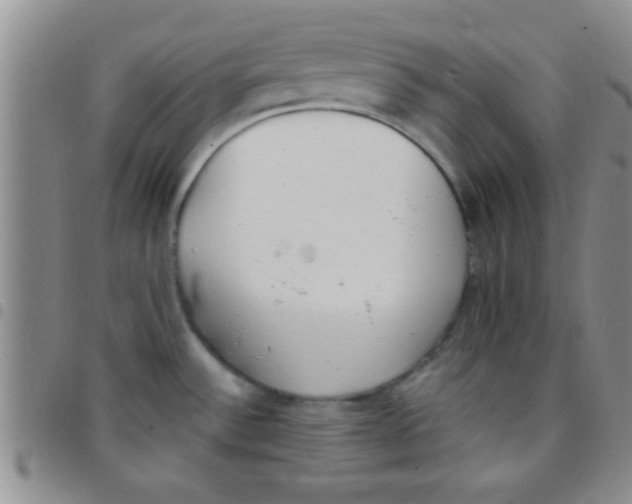 X0000097511532200803142030