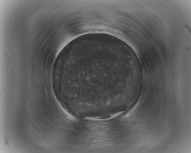 X0000097511533200803142030