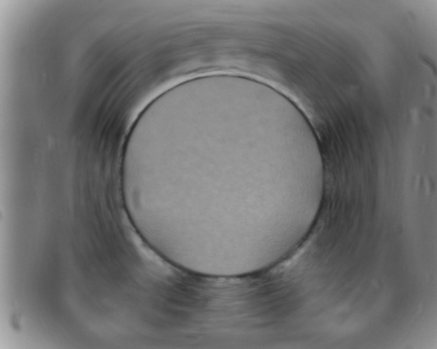 X0000097511534200803142030