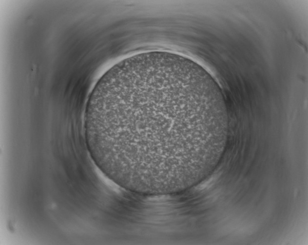 X0000097511535200803142030