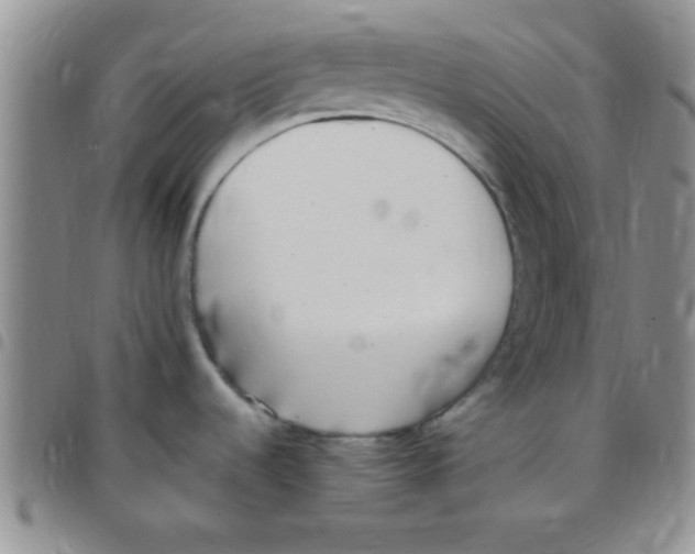 X0000097511536200803142030