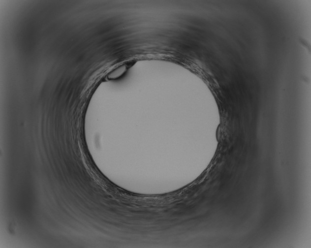 X0000097510001200803201625