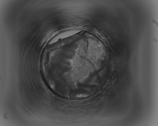 X0000097510002200803201625