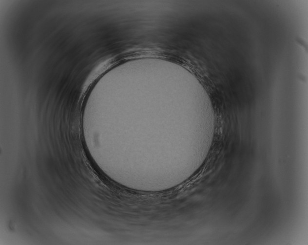 X0000097510004200803201625