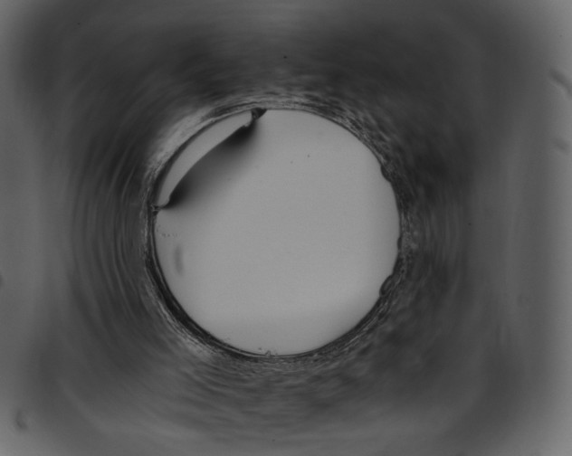 X0000097510005200803201625