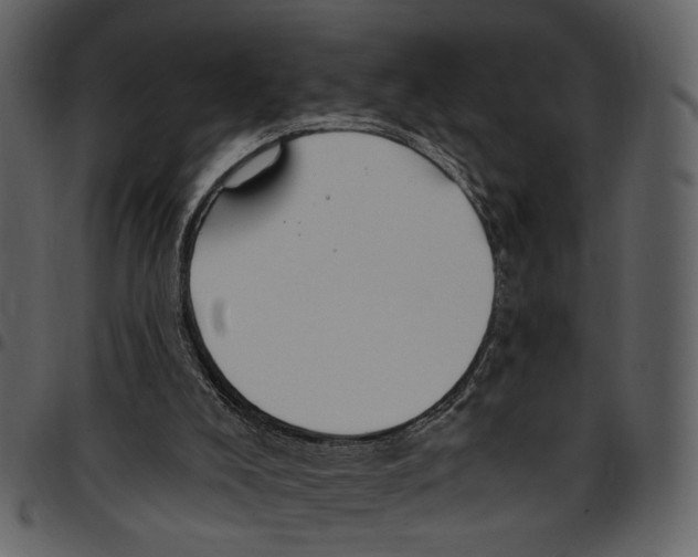 X0000097510008200803201625