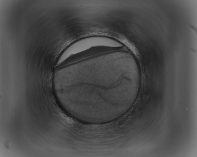 X0000097510009200803201625
