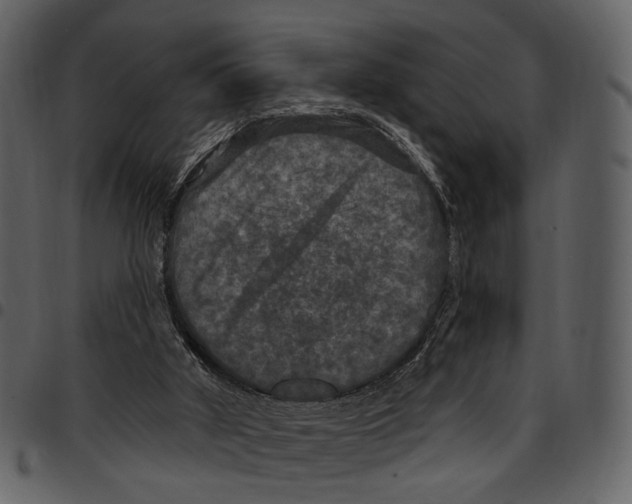 X0000097510010200803201625
