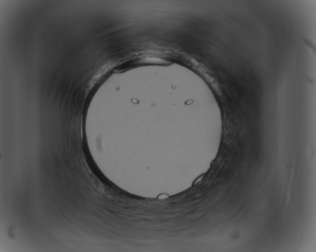X0000097510011200803201625