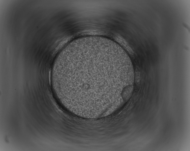 X0000097510014200803201625
