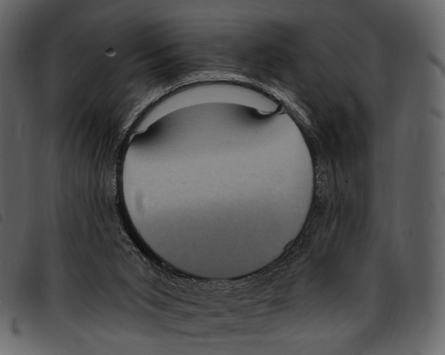 X0000097510015200803201625