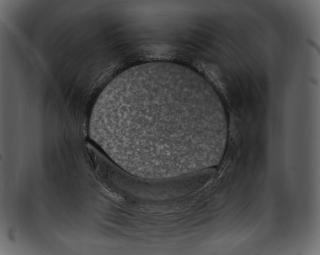 X0000097510017200803201625