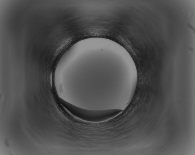 X0000097510019200803201625