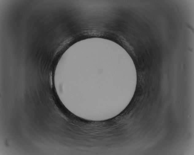 X0000097510020200803201625