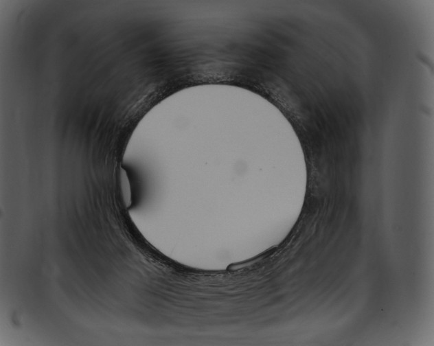 X0000097510021200803201625