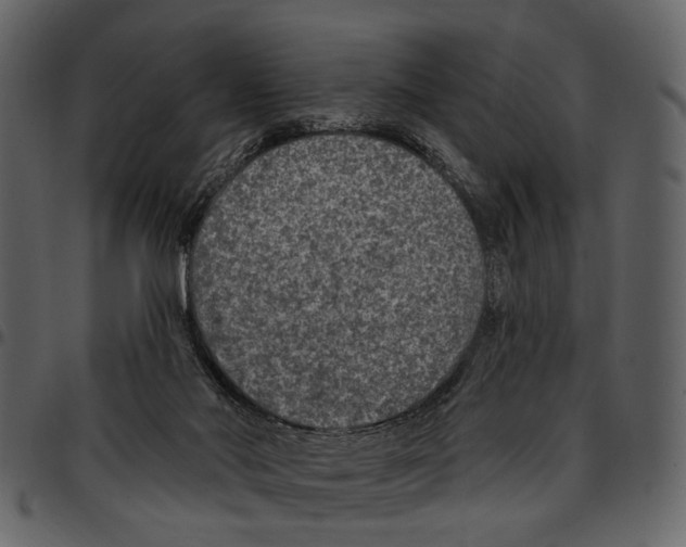 X0000097510022200803201625