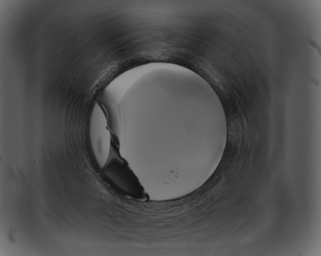 X0000097510023200803201625