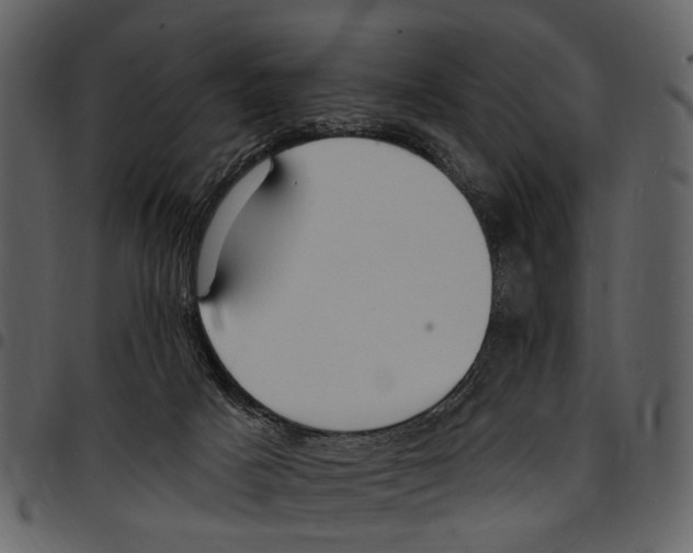 X0000097510025200803201625