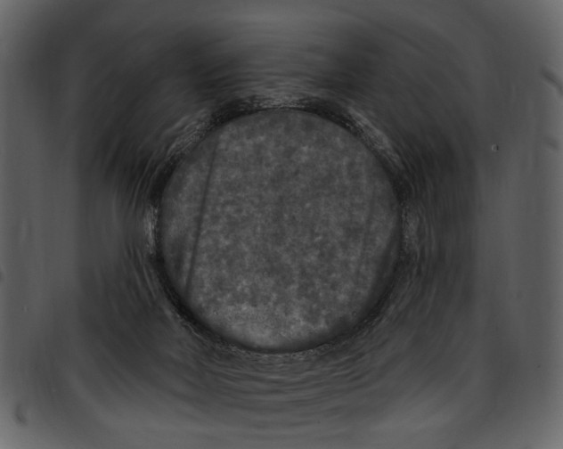 X0000097510026200803201625