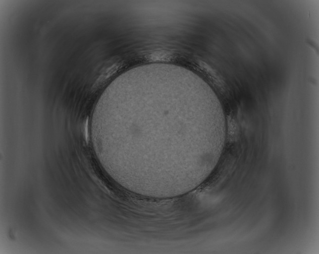 X0000097510028200803201625
