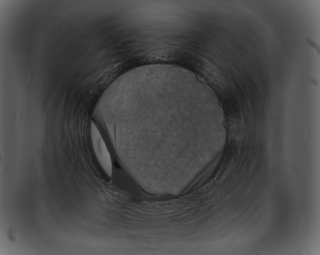 X0000097510029200803201625