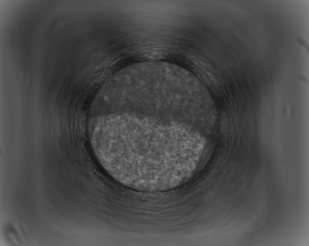 X0000097510030200803201625