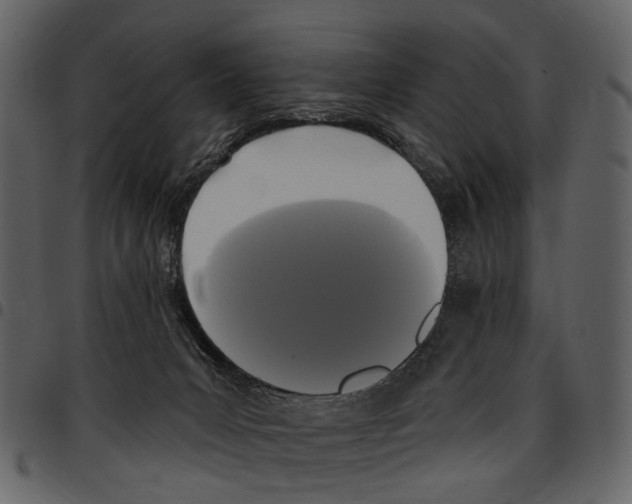 X0000097510031200803201625