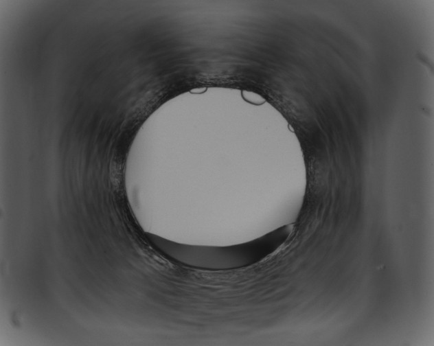 X0000097510033200803201625