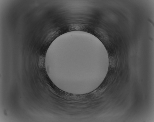X0000097510036200803201625