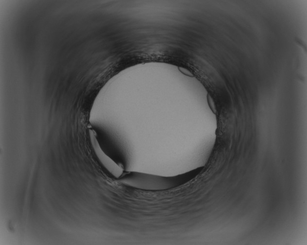 X0000097510037200803201625