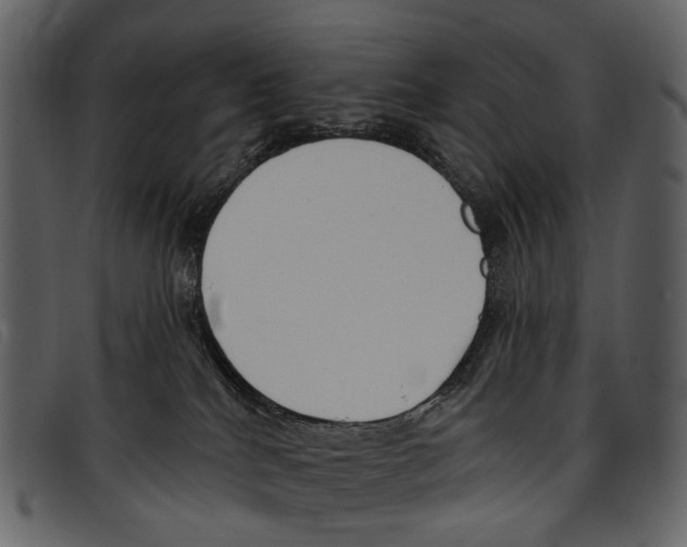 X0000097510040200803201625