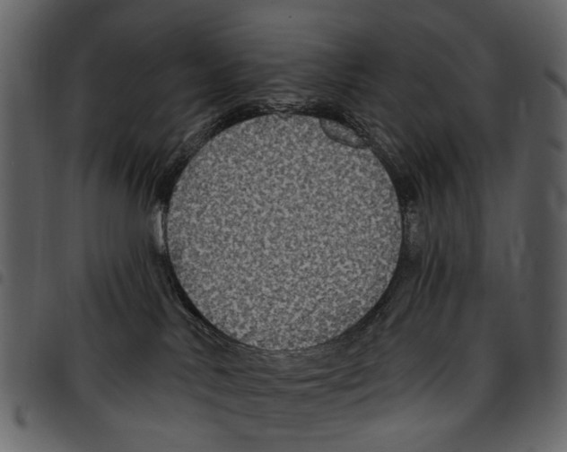 X0000097510042200803201625