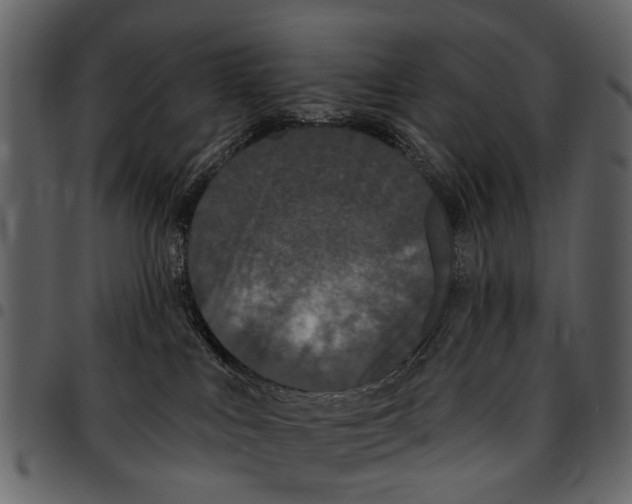 X0000097510043200803201625